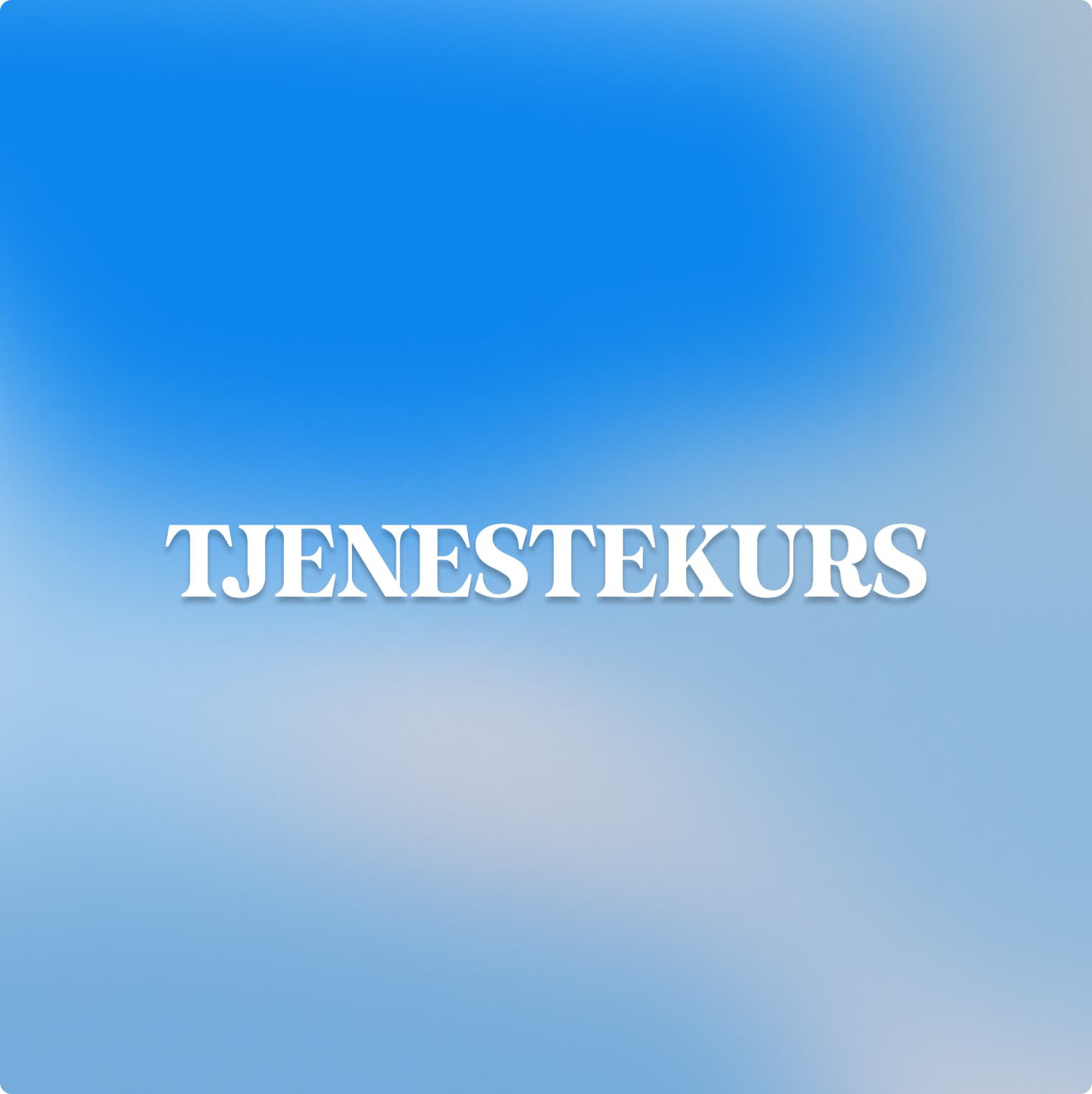 Tjenestekurs