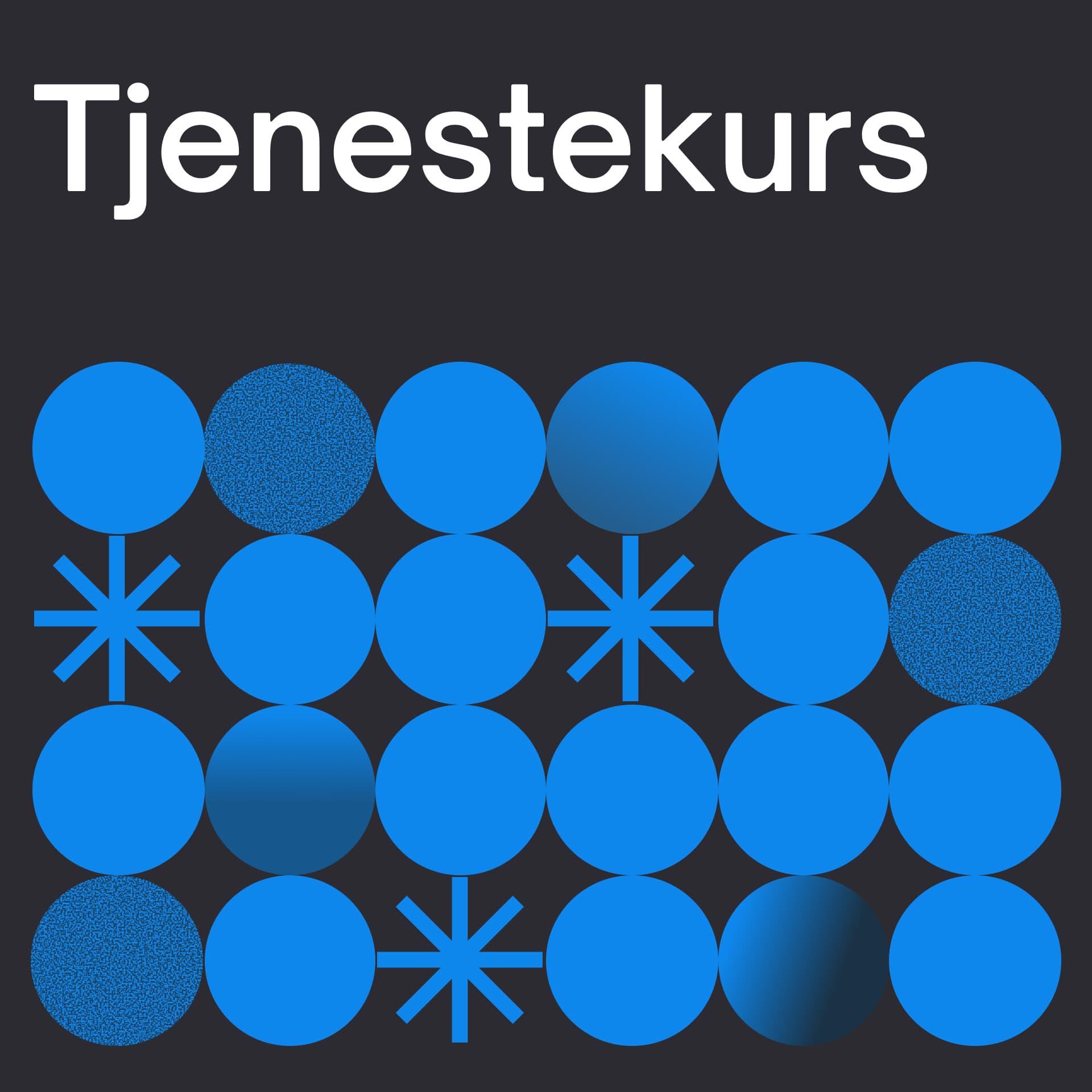 Tjenestekurs